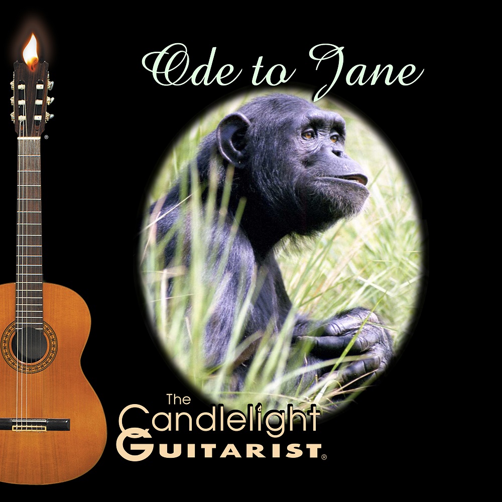 Ode to Jane by The Candlelight Guitarist (Official Video)